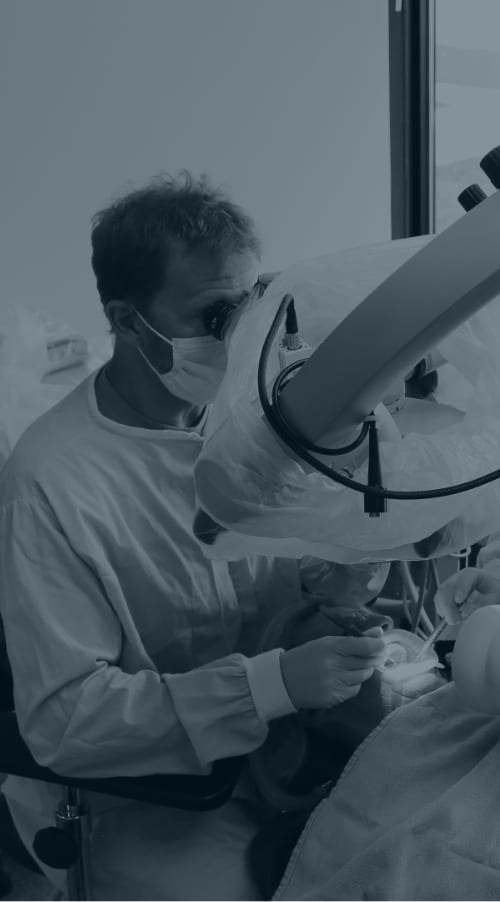   j David cross dds